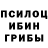 Псилоцибиновые грибы Psilocybe Ilya Pokrashenko