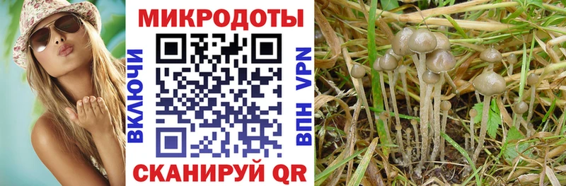 Псилоцибиновые грибы Magic Shrooms  где купить наркотик  Мариинский Посад 